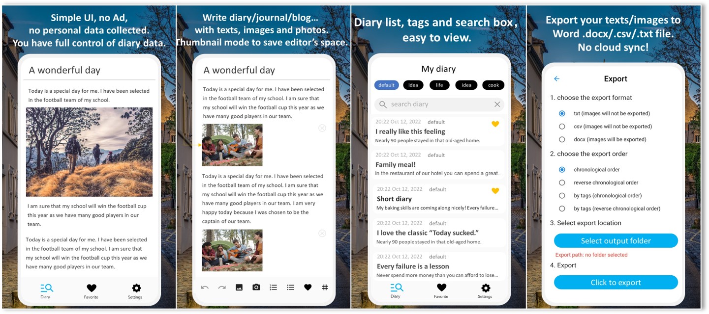 Local Diary, Your Secret Diary